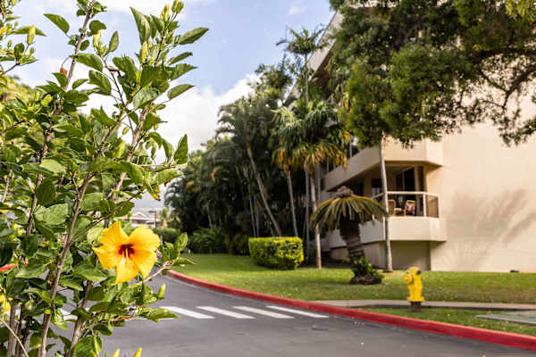 Have a short walk on early mornings or late afternoons while soaking in the fresh breeze and panoramic view of the nature