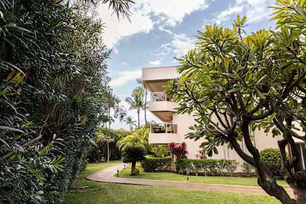 Experience the true spirit of aloha and a homey feeling in the tropical grounds of Maui Banyan!