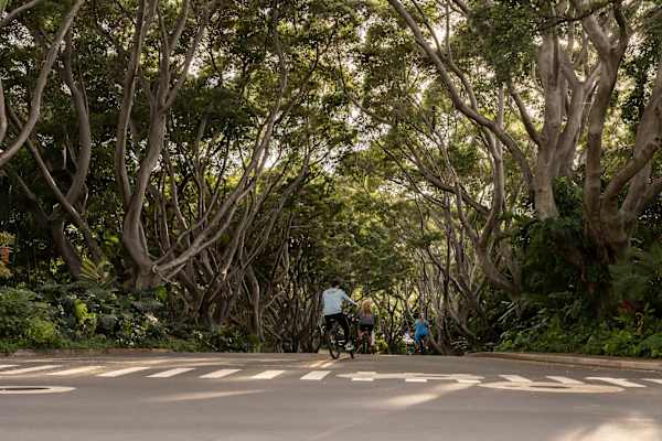 Take in the stunning natural backdrop as you wander the streets, with lush views and open skies framing every step.