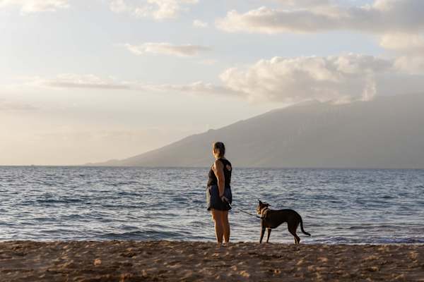 Watch the sun melt into the horizon from the beach as you unwind and share the moment with the people you’re with—an easy setting for connection, conversation, and quiet togetherness.