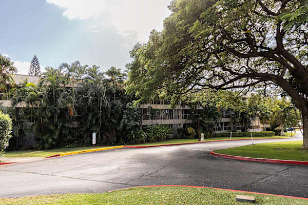 Have a short walk on early mornings or late afternoons while soaking in the fresh breeze and panoramic view of the nature