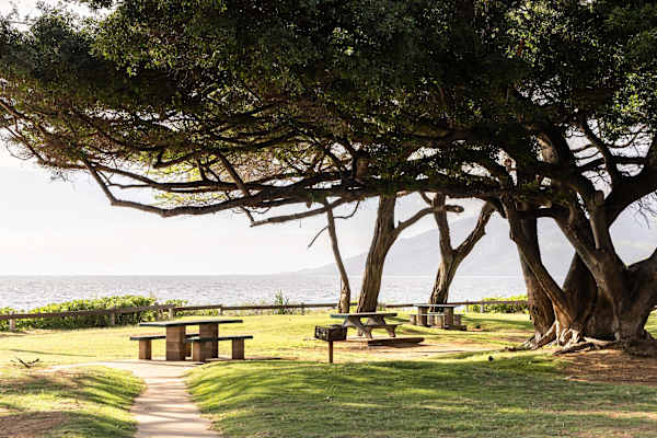 Soak in island bliss at Kamaole Beach Park—where guests can lounge on soft sands, snorkel in clear waters, and catch unforgettable sunset views just steps away.