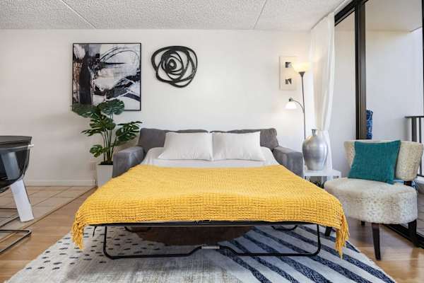 Your living area has a pull-out sleeper sofa