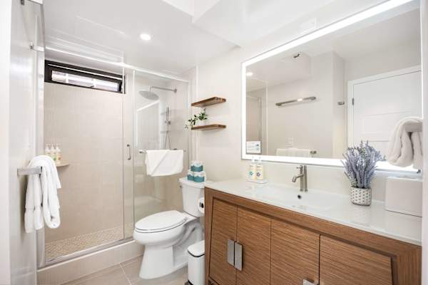 Full bathroom with walk-in shower