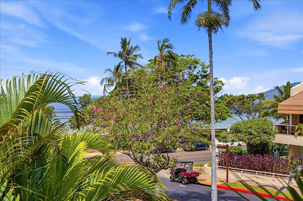 Maui Banyan condo w/ BBQ grill and pool
