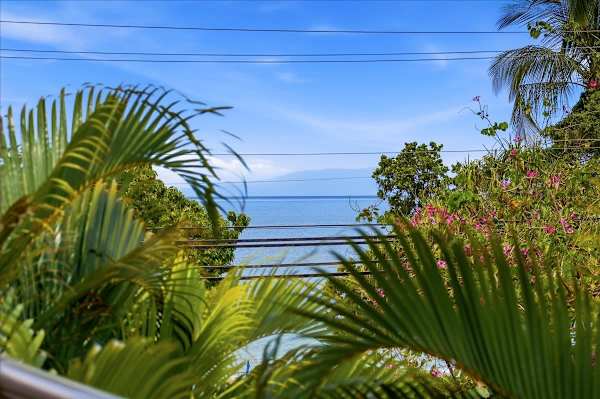 Maui Banyan condo w/ BBQ grill and pool