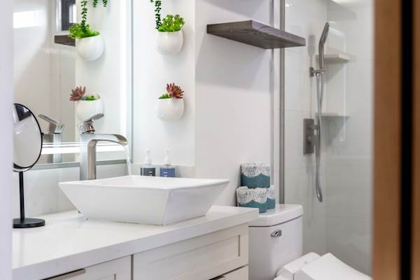 Modern bathroom w/ vessel sink vanity, walk-in shower & stylish wall planters