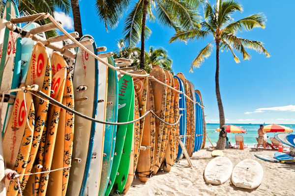 Hit the waves, soak up the sun, and live the Waikiki dream! With Waikiki Beach and all its surf-ready boards just moments from your stay, your perfect Hawaiian adventure is calling!
