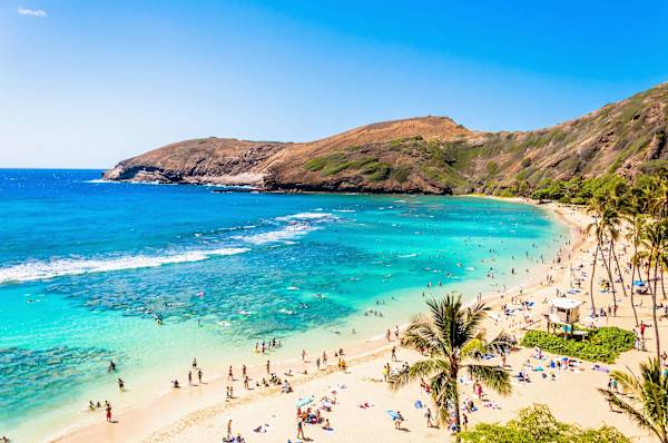 You're just moments away from experiencing breathtaking beaches and the vibrant energy of Waikiki! Book your Hawaiian escape today and dive into paradise!