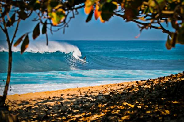 Get ready to ride the waves or simply soak in the incredible surf culture! With Waikiki Beach and its legendary waves just a stone's throw from your stay, your epic Hawaiian adventure is waiting.