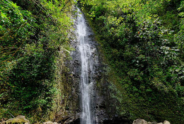 Immerse yourself in a prehistoric paradise at Manoa Falls, a 150-foot waterfall tucked away in a lush rainforest that famously served as a filming location for Jurassic Park.