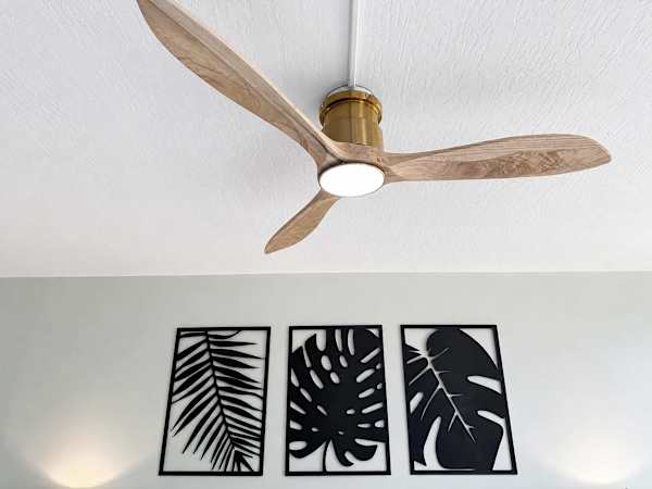 A ceiling fan is available in the unit