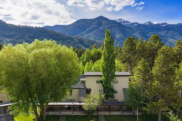 Abode at Cottonwood, brand new remodel, near Jackson Hole