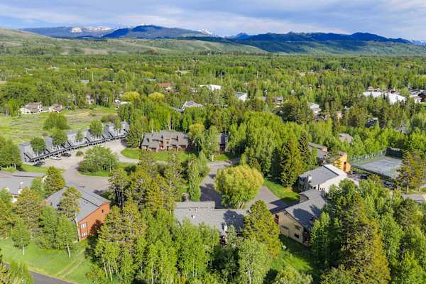 Abode at Cottonwood, brand new remodel, near Jackson Hole