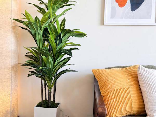 Decorative details