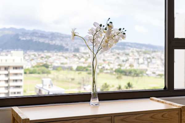 Your view from your bedroom window