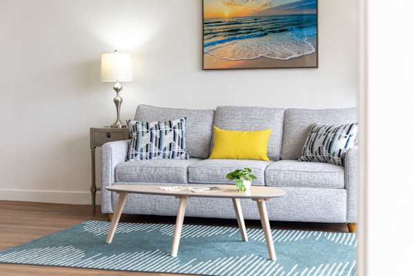 Sleeper sofa in the living area