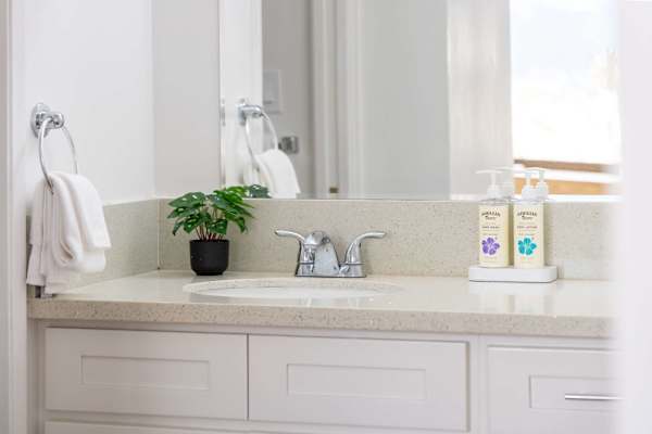 Bathroom details