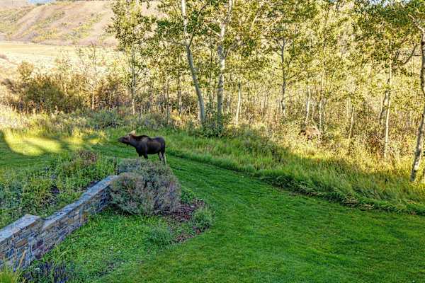 Abode at Sleeping Indian, Jackson Hole, 5 suites