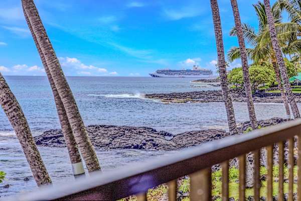 Swaying Palms And Blue Skies Out Every Window
