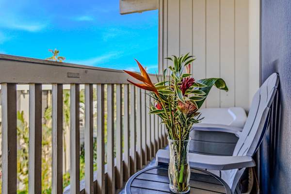Morning Coffee With Tropical Views