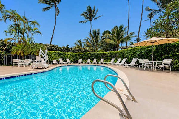Your Tropical Oasis