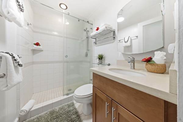 Sparkling Spa-Like Bathroom Retreat