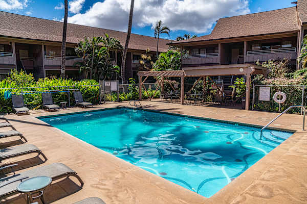 Sparkling Pool Surrounded By Tropical Gardens