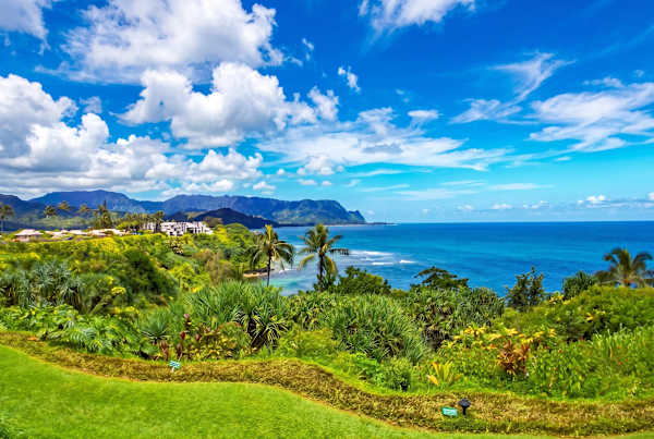 Expansive coastal scenery from the property