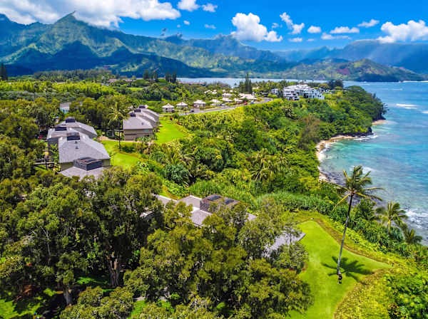 Aerial coastline framed by tropical greenery