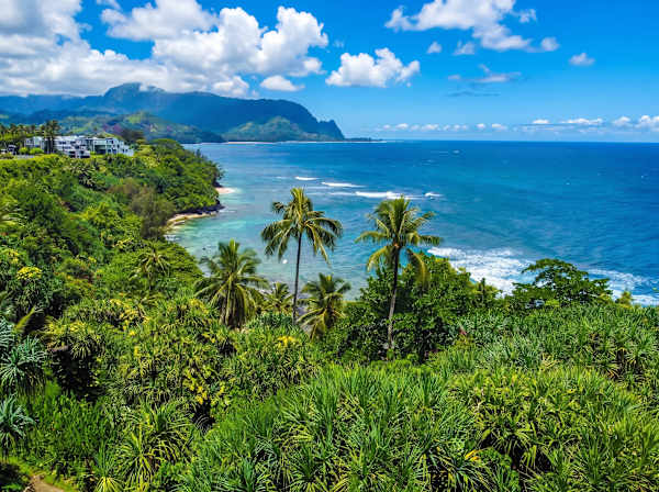 Lush coastline with panoramic ocean views
