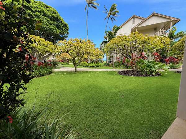 Lush tropical garden with a hint of the sea