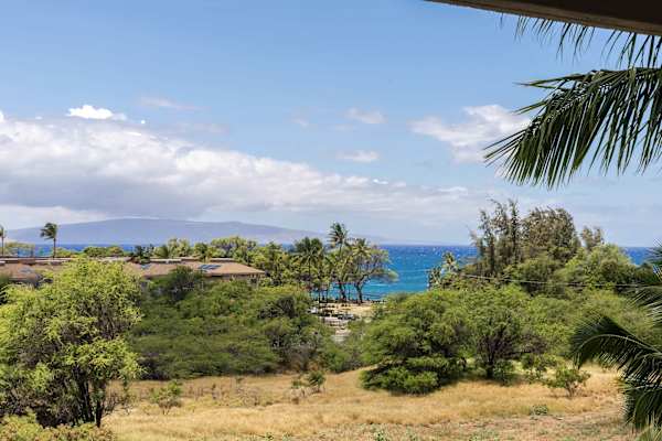 Savor breathtaking ocean and mountain views framed by lush tropical greenery and swaying palm trees right from your private balcony.