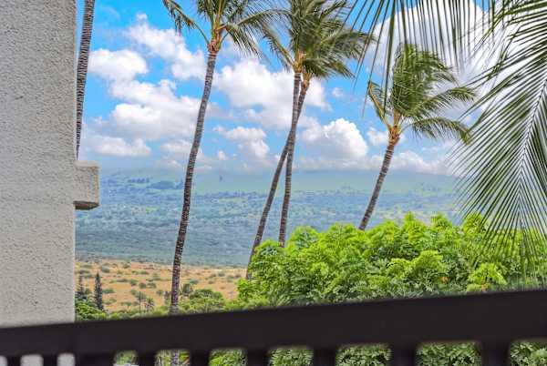 Take in scenic, elevated views of lush greenery, swaying palm trees, and blue skies right from your private balcony.