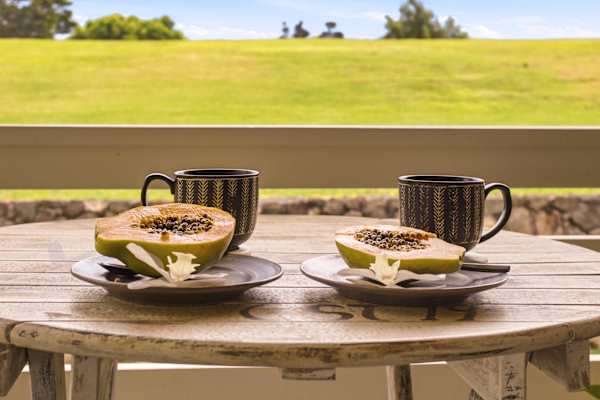 Beautiful area to eat and relax outdoors
