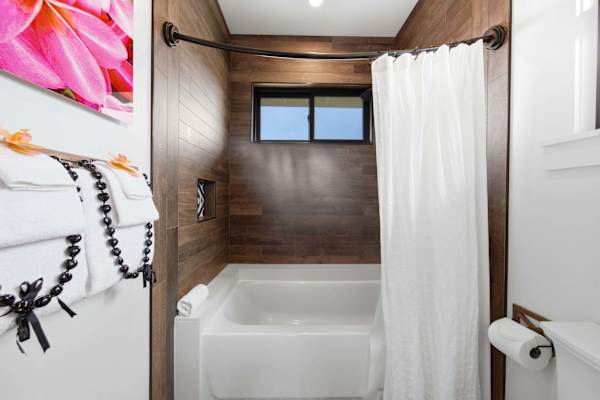 Combination shower bath