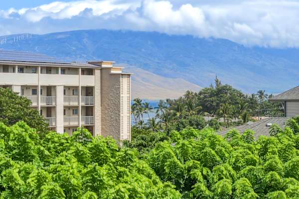 Soak in sweeping views of lush tropical treetops, majestic mountains, and a brilliant blue horizon from your private balcony.
