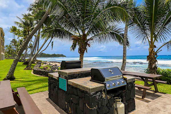 Oceanfront Outdoor BBQ Grill Station with Picnic Tables and Palm Trees