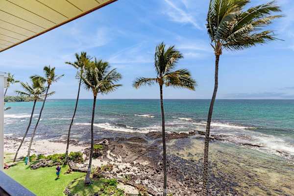 Scenic Coastal Ocean View with Swaying Palm Trees and Clear Skies