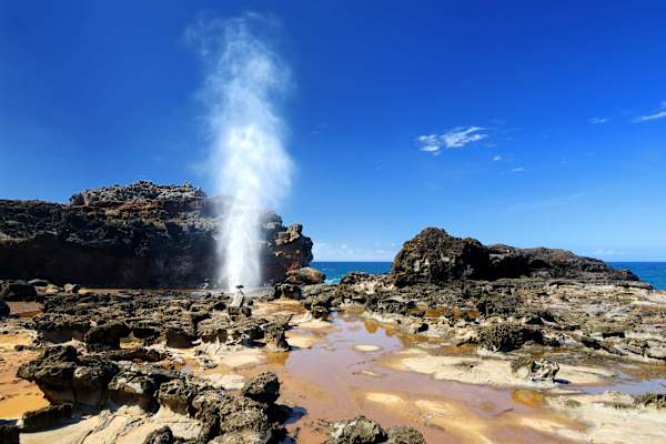 Witness the impressive natural power of the Nakalele Blowhole as ocean swells shoot a dramatic geyser of water high into the air along Maui's rugged coastline.