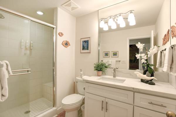 Bright Bathroom With Walk In Shower
