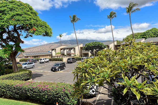 Lush Tropical Grounds With Aloha Charm