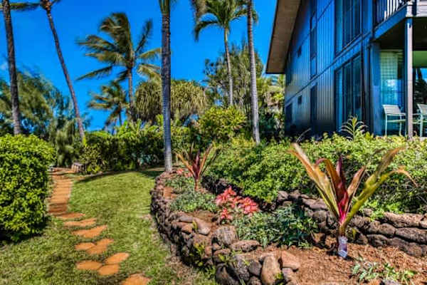 Mahina Surf 117 | One Bedroom Condo w/ Oceanview