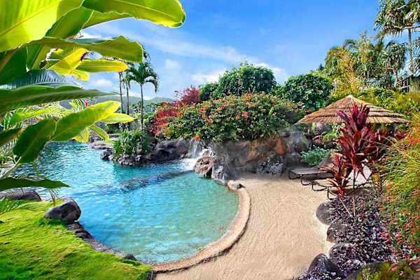 Discover a peaceful tropical pool surrounded by lush colorful greenery