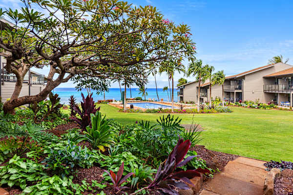 Mahina Surf 117 | One Bedroom Condo w/ Oceanview