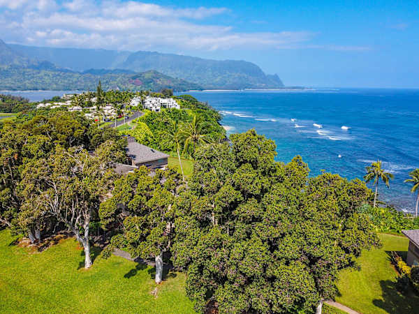 Bird’s-eye home view reveals rooftops, tropical foliage, and surrounding ocean