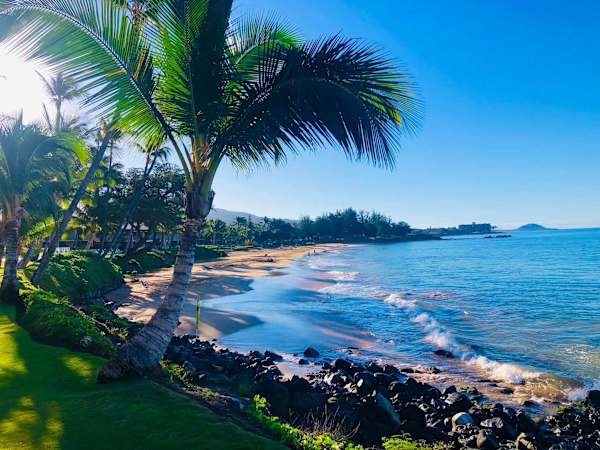 Golden sands, gentle waves, and postcard-worthy views—your perfect day at Kamaole Beach Park awaits.