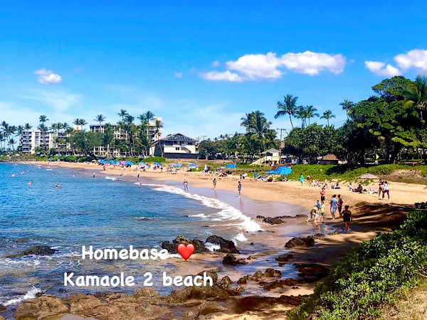 Golden sands, gentle waves, and postcard-worthy views—your perfect day at Kamaole Beach Park awaits.
