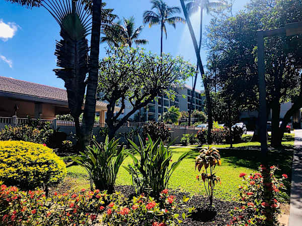 Lush, sun-drenched gardens offering a peaceful island oasis right on the resort grounds.