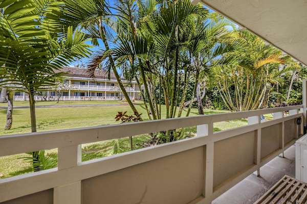 Lanai view overlooking lush tropical grounds and palms